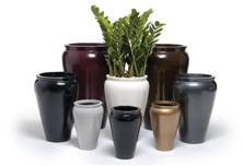 Urns 